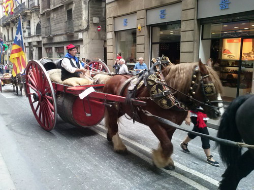 Cavalcada dels Tres Tombs a Barcelona. Fotografia de Jordi Barba